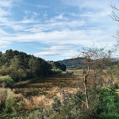 Estudio 33 La Arena Dış mekan fotoğraf