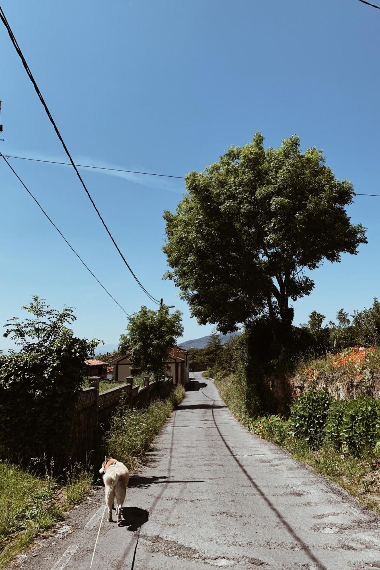 Estudio 33 La Arena Dış mekan fotoğraf