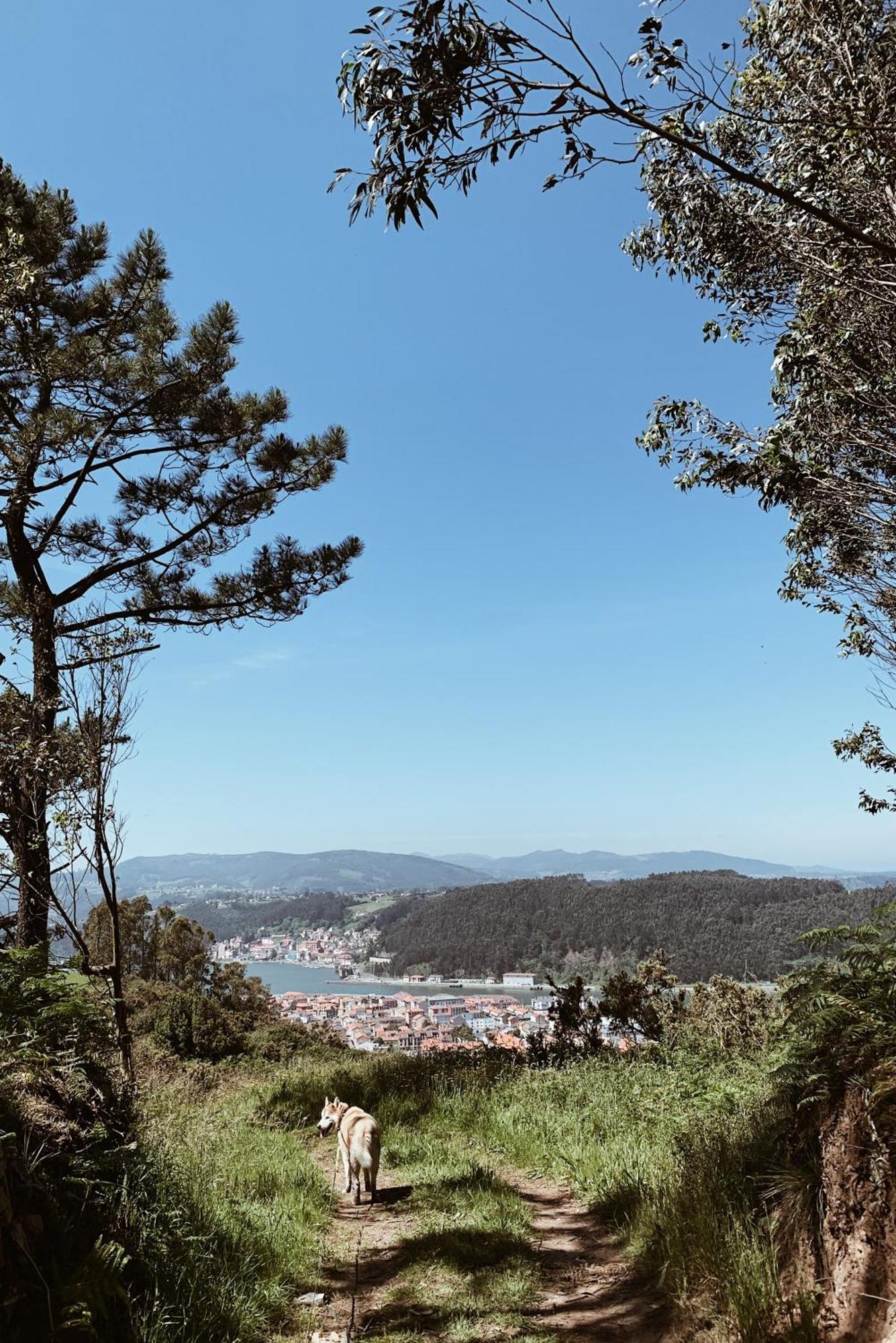 Estudio 33 La Arena Dış mekan fotoğraf